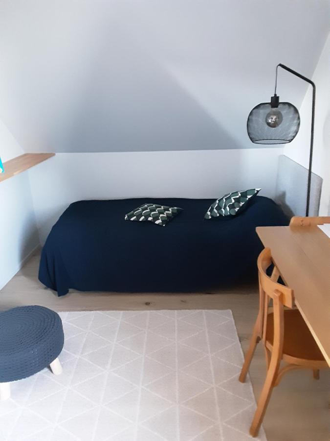 Charmant Appartement A 150 M Des Thermes Et Du Centre Ville 托农莱班 外观 照片